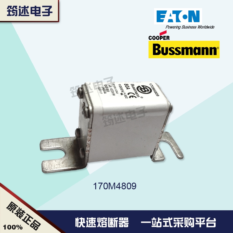 170M4827美国巴斯曼BUSSMANN熔断器1000V	50 
